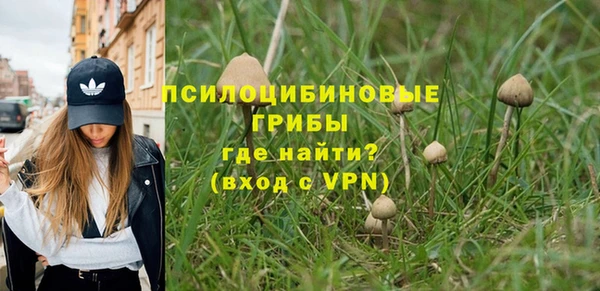 героин Алексин