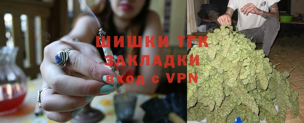 индика Абдулино