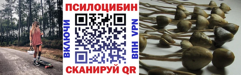 Галлюциногенные грибы мухоморы  Западная Двина 